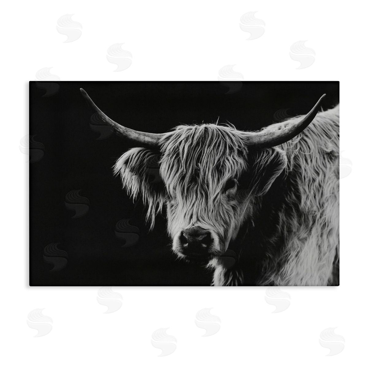 Crystal Lynn Collins Scottish Highland Cattle Canvas Wall Art Print