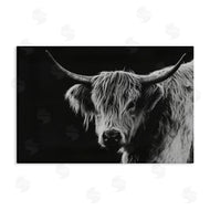Crystal Lynn Collins | Scottish Highland Cattle
