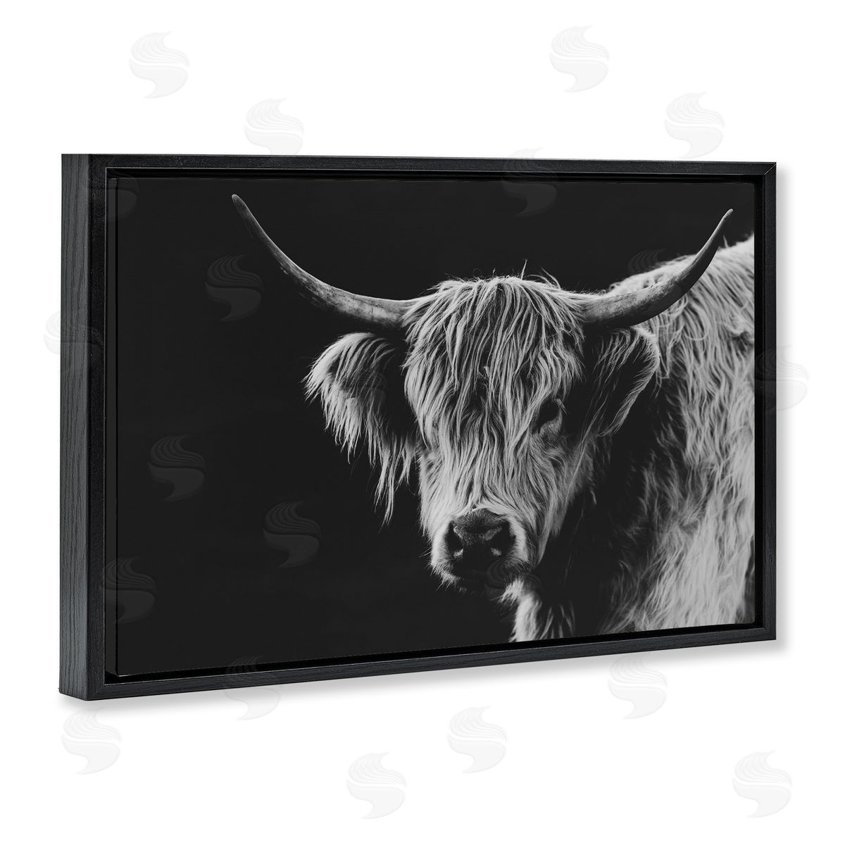 Crystal Lynn Collins Scottish Highland Cattle Canvas Wall Art Print
