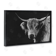 Crystal Lynn Collins | Scottish Highland Cattle