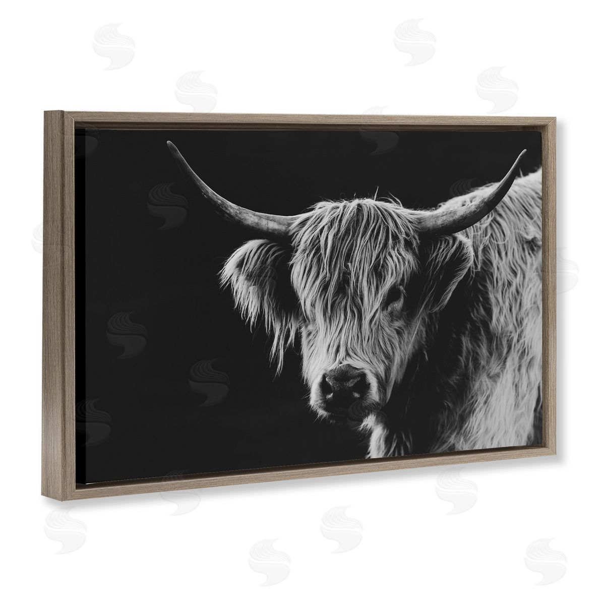 Crystal Lynn Collins Scottish Highland Cattle Canvas Wall Art Print
