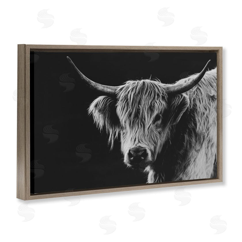 Crystal Lynn Collins | Scottish Highland Cattle