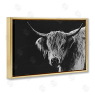 Crystal Lynn Collins | Scottish Highland Cattle