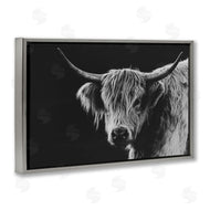 Crystal Lynn Collins | Scottish Highland Cattle
