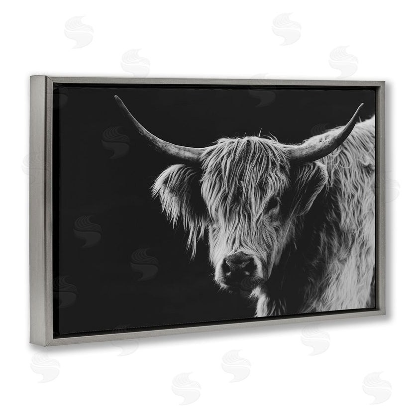 Crystal Lynn Collins | Scottish Highland Cattle