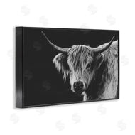 Crystal Lynn Collins | Scottish Highland Cattle