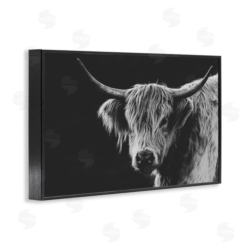 Crystal Lynn Collins | Scottish Highland Cattle