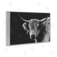 Crystal Lynn Collins | Scottish Highland Cattle