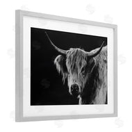 Crystal Lynn Collins | Scottish Highland Cattle