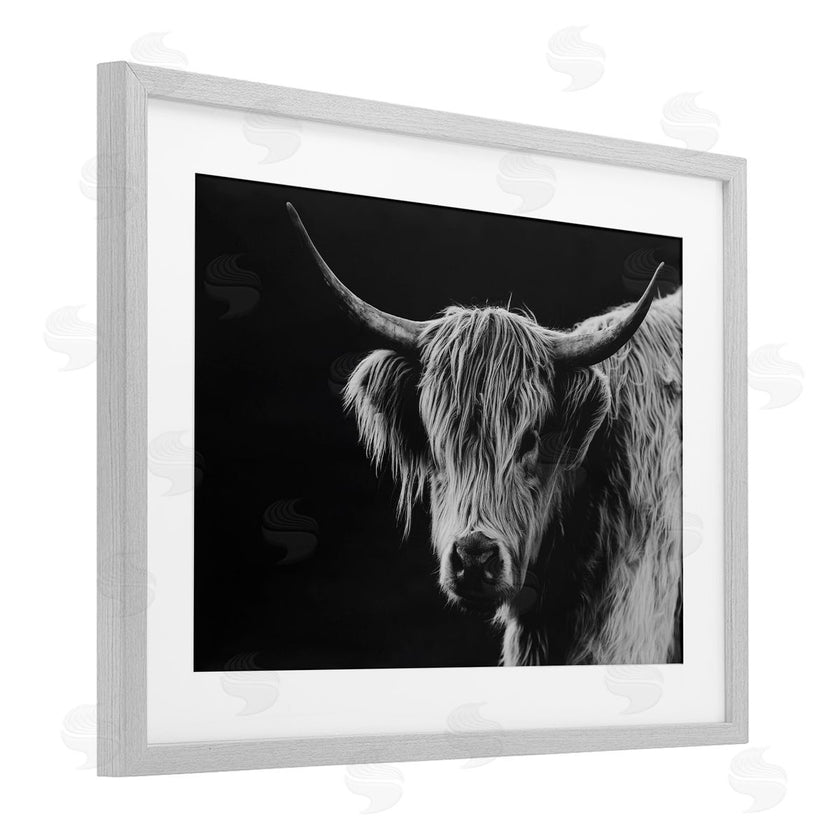 Crystal Lynn Collins | Scottish Highland Cattle