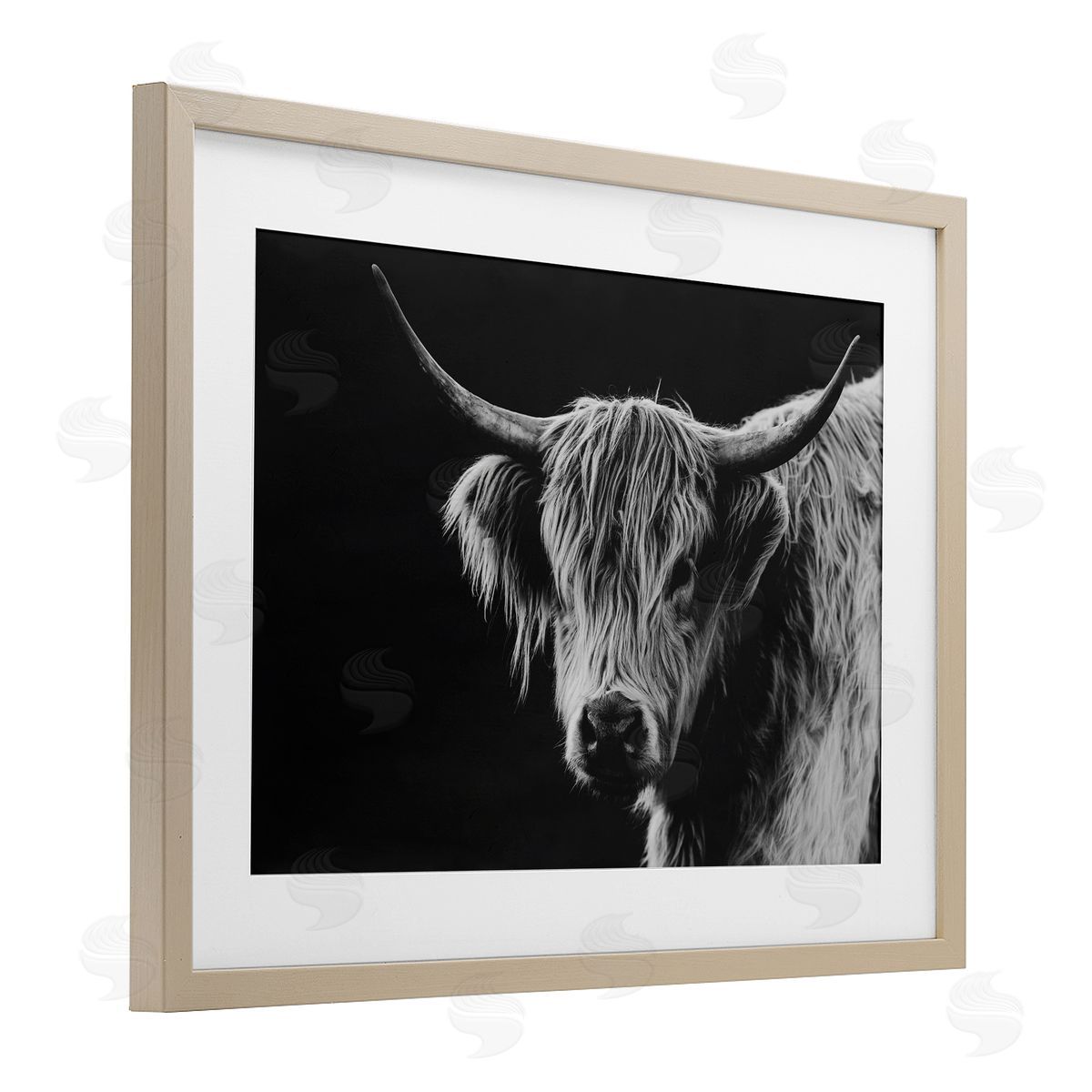 Crystal Lynn Collins Scottish Highland Cattle Canvas Wall Art Print