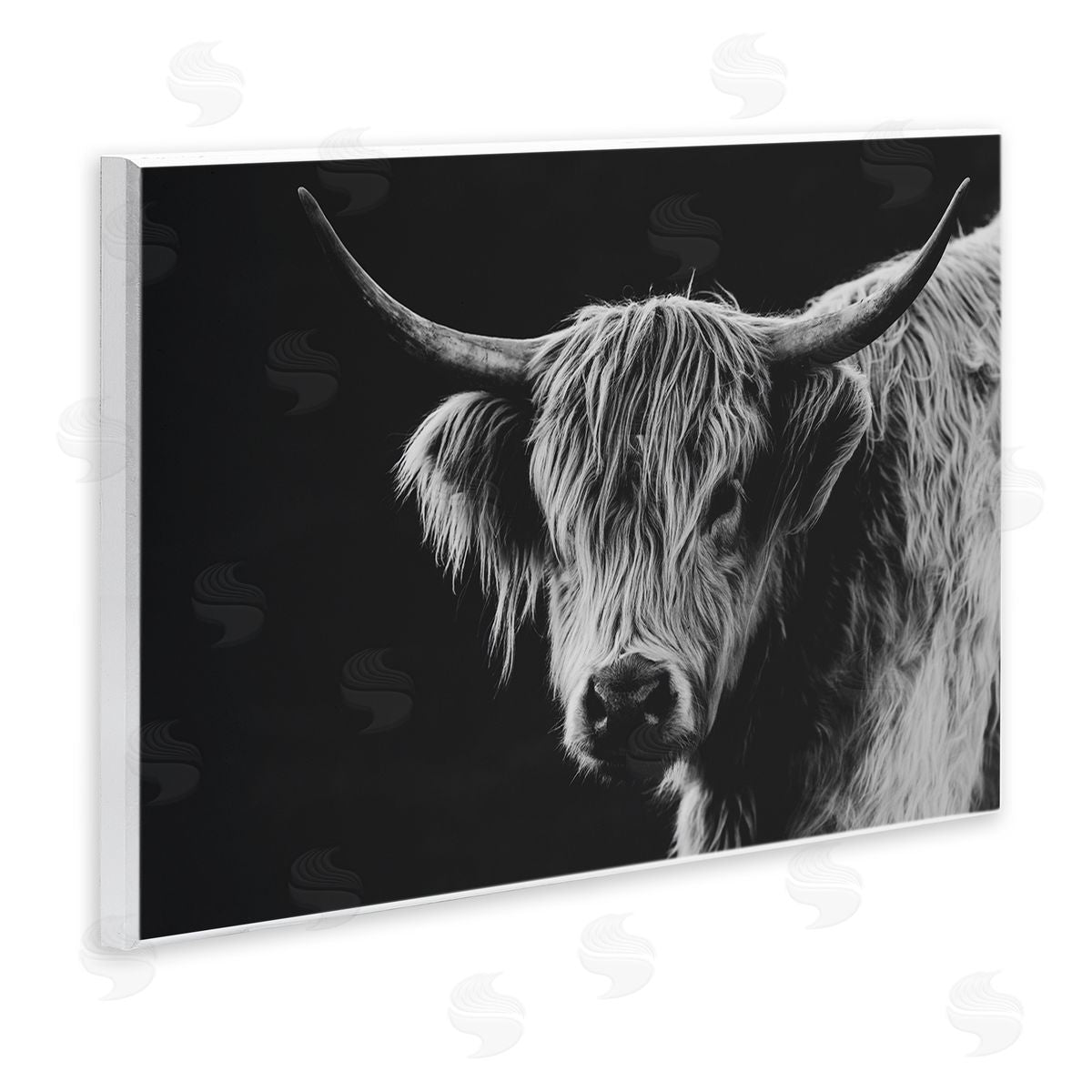 Crystal Lynn Collins Scottish Highland Cattle Canvas Wall Art Print