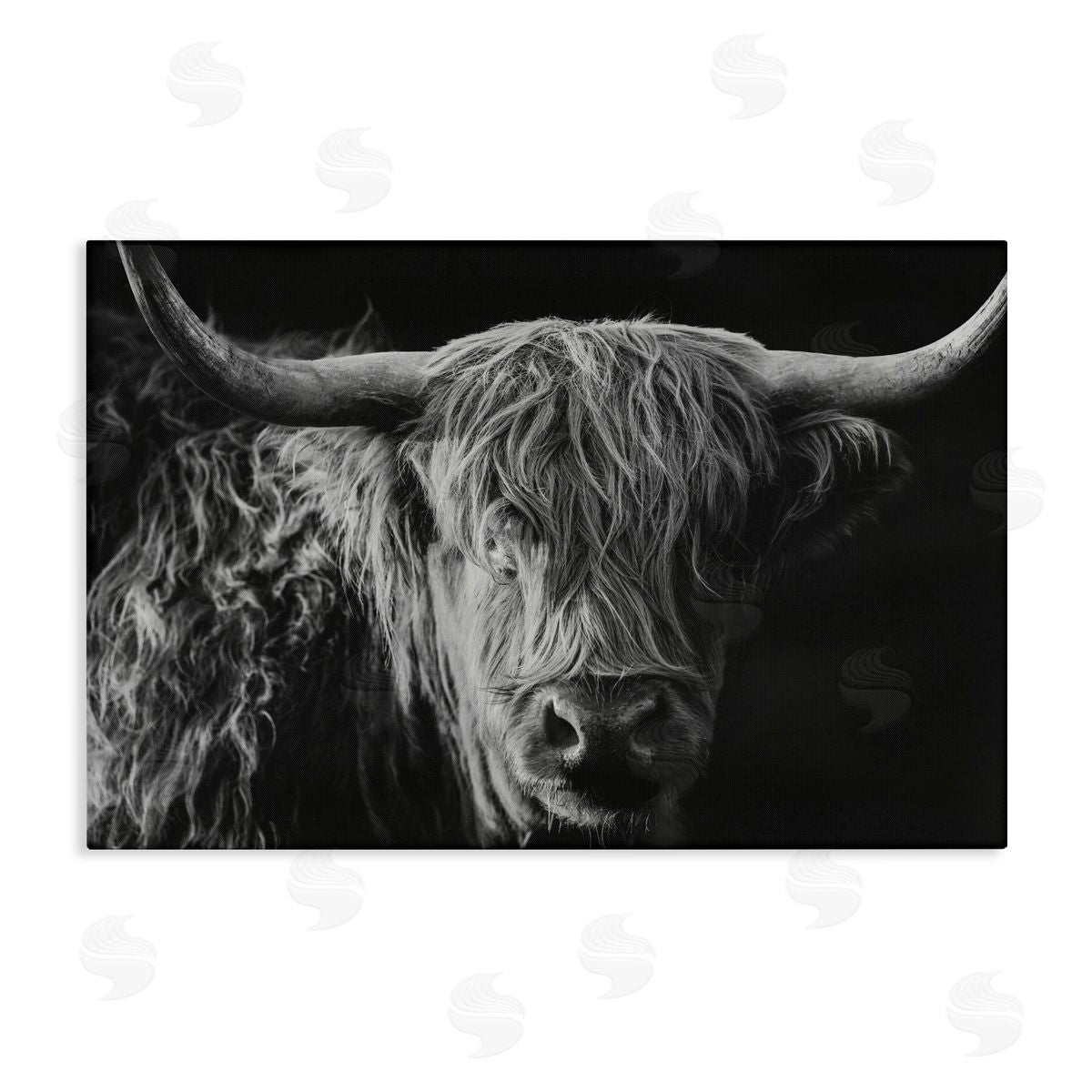 Crystal Lynn Collins Scottish Highland Portrait Canvas Wall Art Print