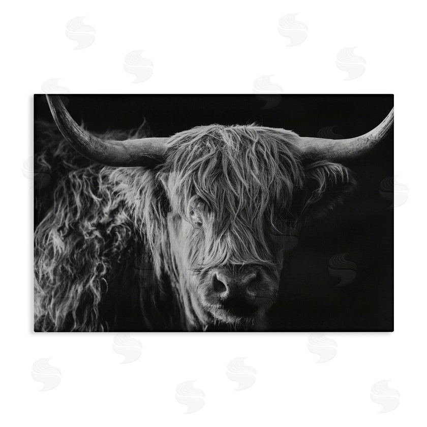 Crystal Lynn Collins | Scottish Highland Portrait
