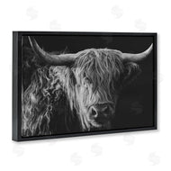 Crystal Lynn Collins | Scottish Highland Portrait