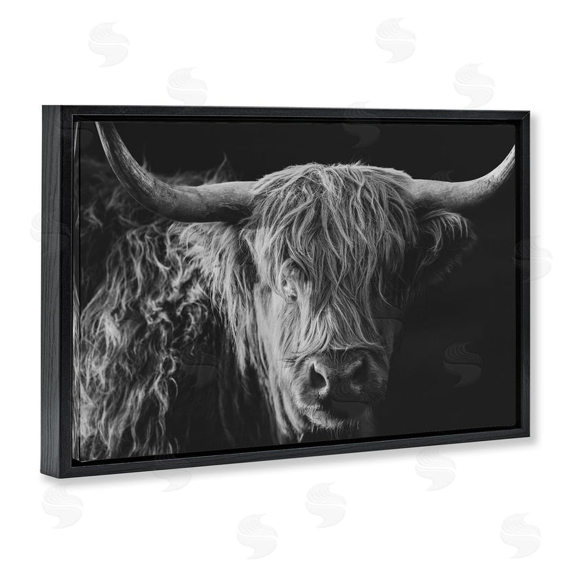 Crystal Lynn Collins | Scottish Highland Portrait
