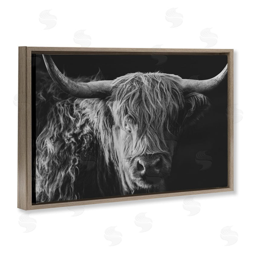 Crystal Lynn Collins | Scottish Highland Portrait
