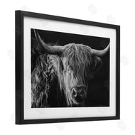 Crystal Lynn Collins | Scottish Highland Portrait