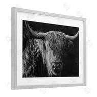 Crystal Lynn Collins | Scottish Highland Portrait