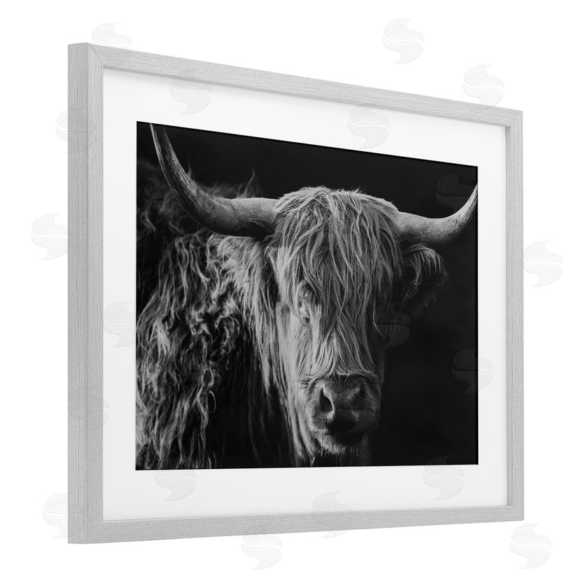 Crystal Lynn Collins | Scottish Highland Portrait