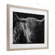 Crystal Lynn Collins | Scottish Highland Portrait