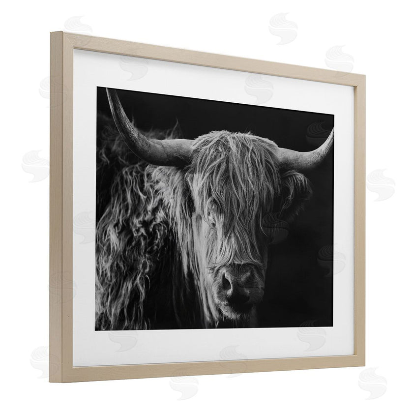 Crystal Lynn Collins | Scottish Highland Portrait