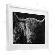 Crystal Lynn Collins | Scottish Highland Portrait