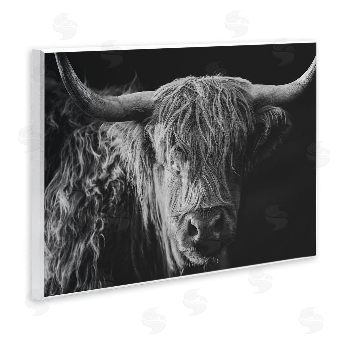 Crystal Lynn Collins Scottish Highland Portrait Canvas Wall Art Print