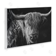 Crystal Lynn Collins | Scottish Highland Portrait