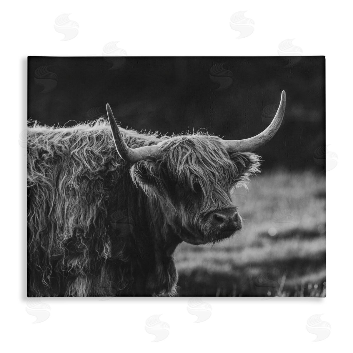 Crystal Lynn Collins Bold Scottish Highland Canvas Wall Art Print