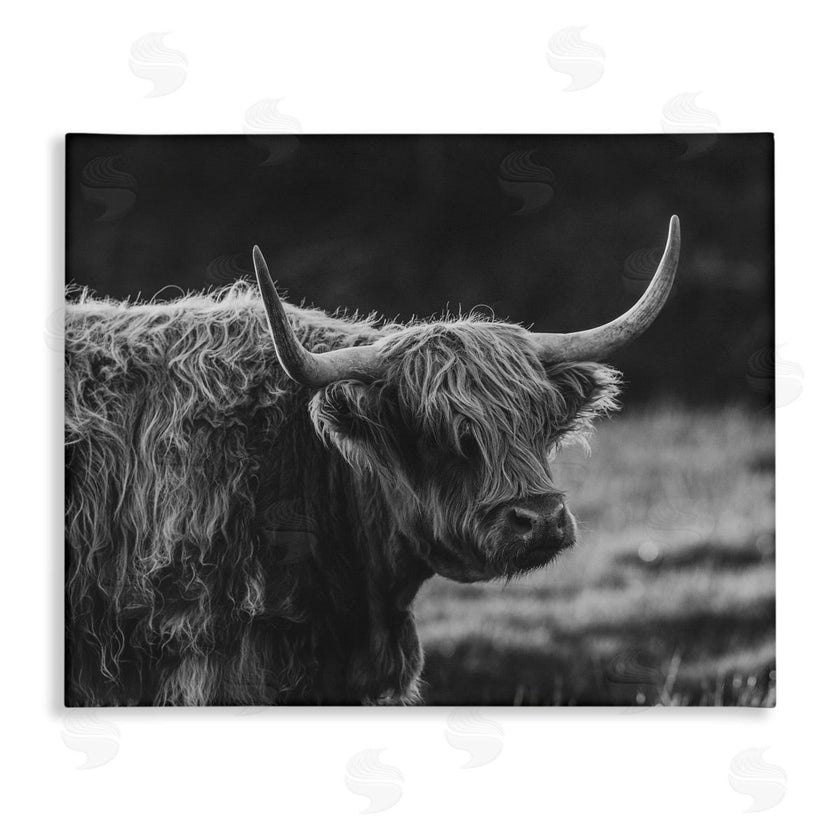 Crystal Lynn Collins | Bold Scottish Highland
