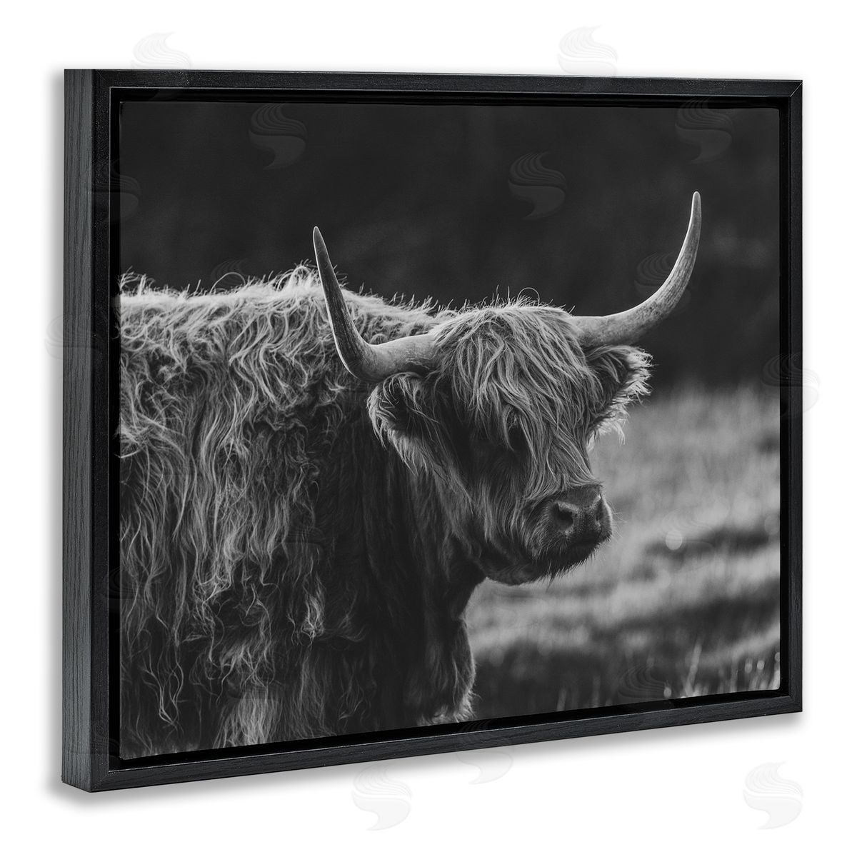 Crystal Lynn Collins Bold Scottish Highland Canvas Wall Art Print