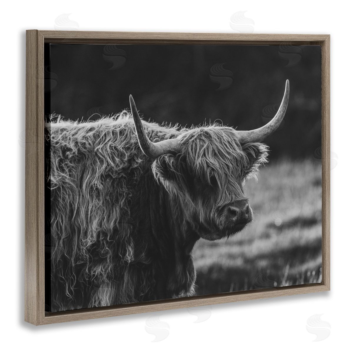 Crystal Lynn Collins Bold Scottish Highland Canvas Wall Art Print