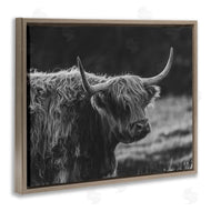 Crystal Lynn Collins | Bold Scottish Highland