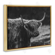 Crystal Lynn Collins | Bold Scottish Highland