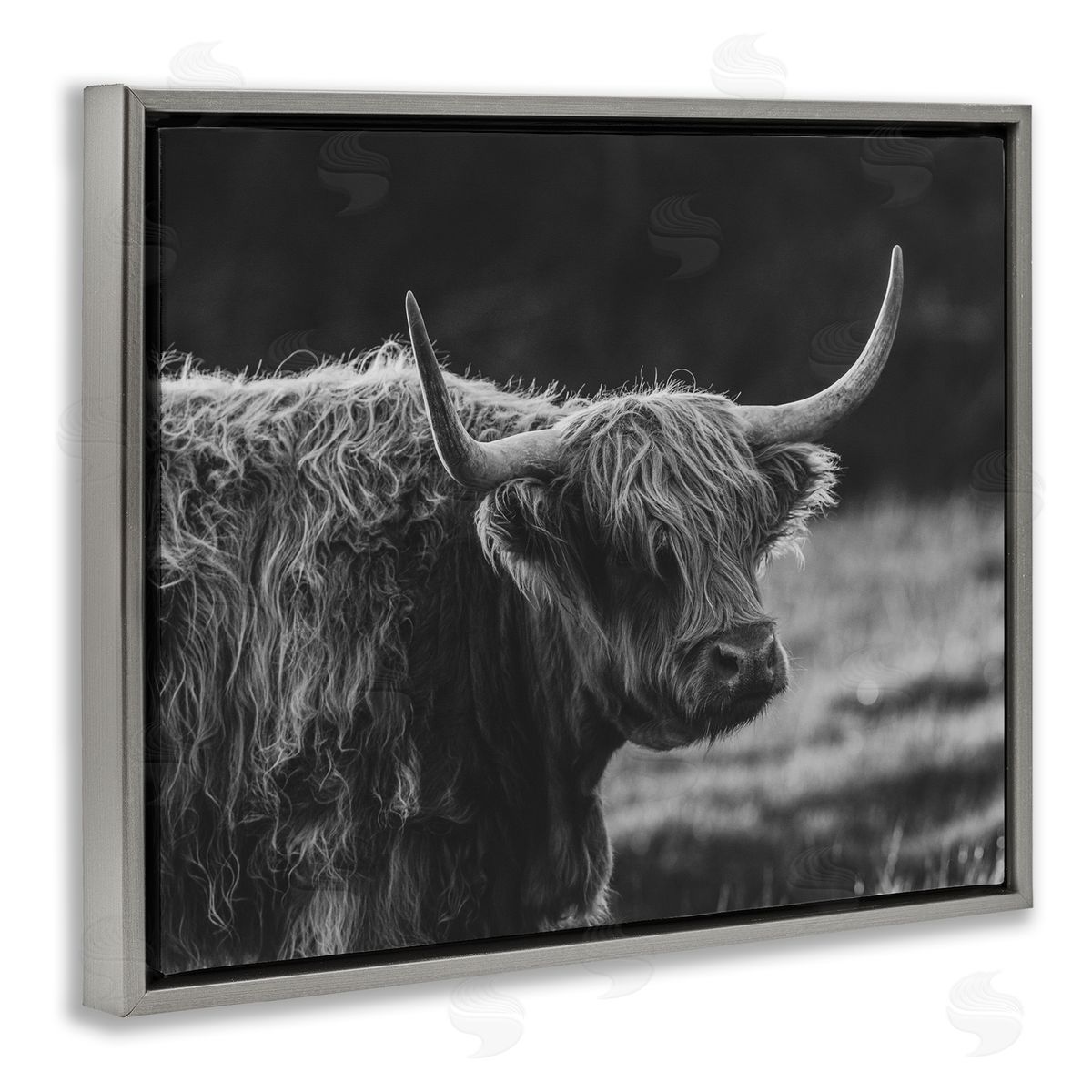 Crystal Lynn Collins Bold Scottish Highland Canvas Wall Art Print