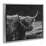 Crystal Lynn Collins | Bold Scottish Highland