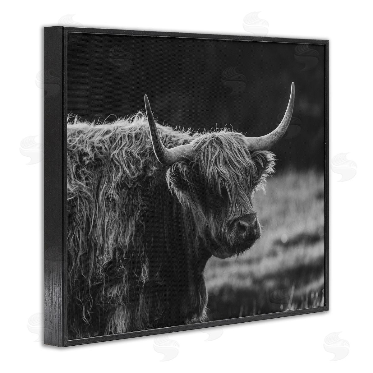 Crystal Lynn Collins Bold Scottish Highland Canvas Wall Art Print
