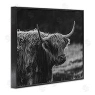 Crystal Lynn Collins | Bold Scottish Highland