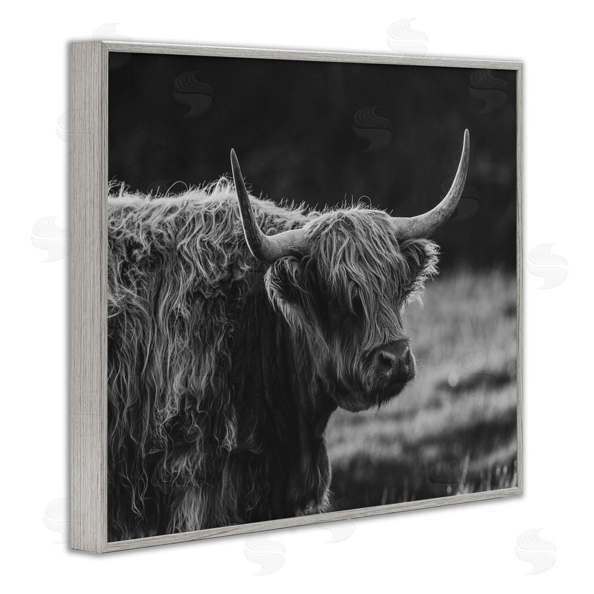 Crystal Lynn Collins Bold Scottish Highland Canvas Wall Art Print