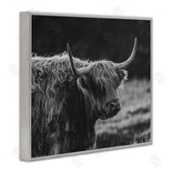 Crystal Lynn Collins | Bold Scottish Highland