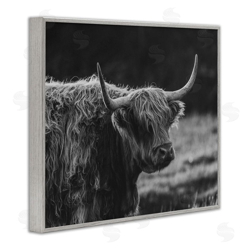 Crystal Lynn Collins | Bold Scottish Highland