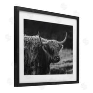 Crystal Lynn Collins | Bold Scottish Highland