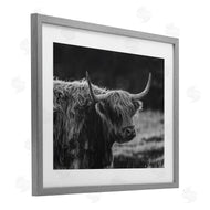Crystal Lynn Collins | Bold Scottish Highland