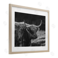 Crystal Lynn Collins | Bold Scottish Highland