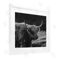 Crystal Lynn Collins | Bold Scottish Highland