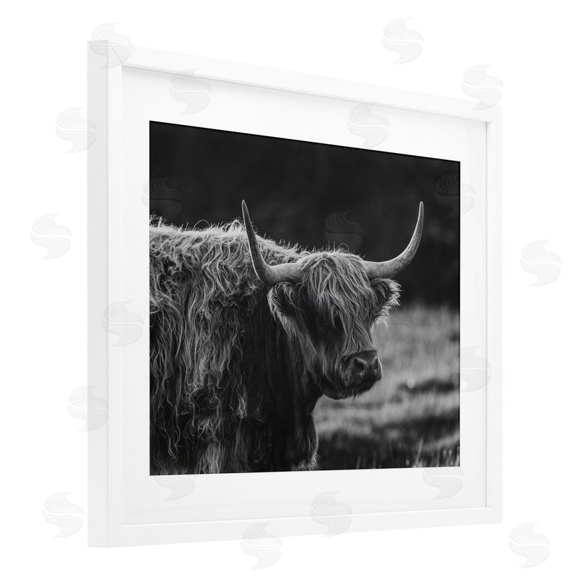 Crystal Lynn Collins | Bold Scottish Highland