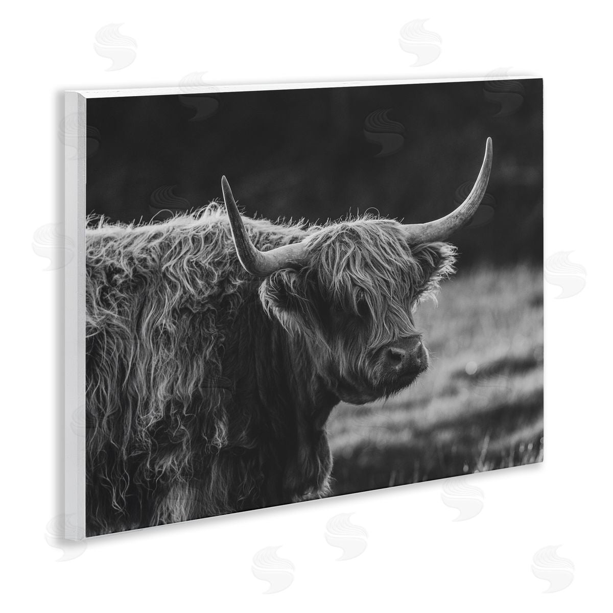 Crystal Lynn Collins Bold Scottish Highland Canvas Wall Art Print
