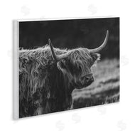 Crystal Lynn Collins | Bold Scottish Highland