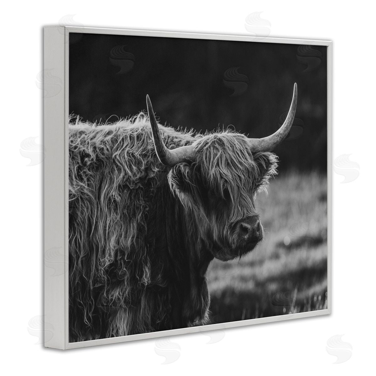 Crystal Lynn Collins Bold Scottish Highland Canvas Wall Art Print